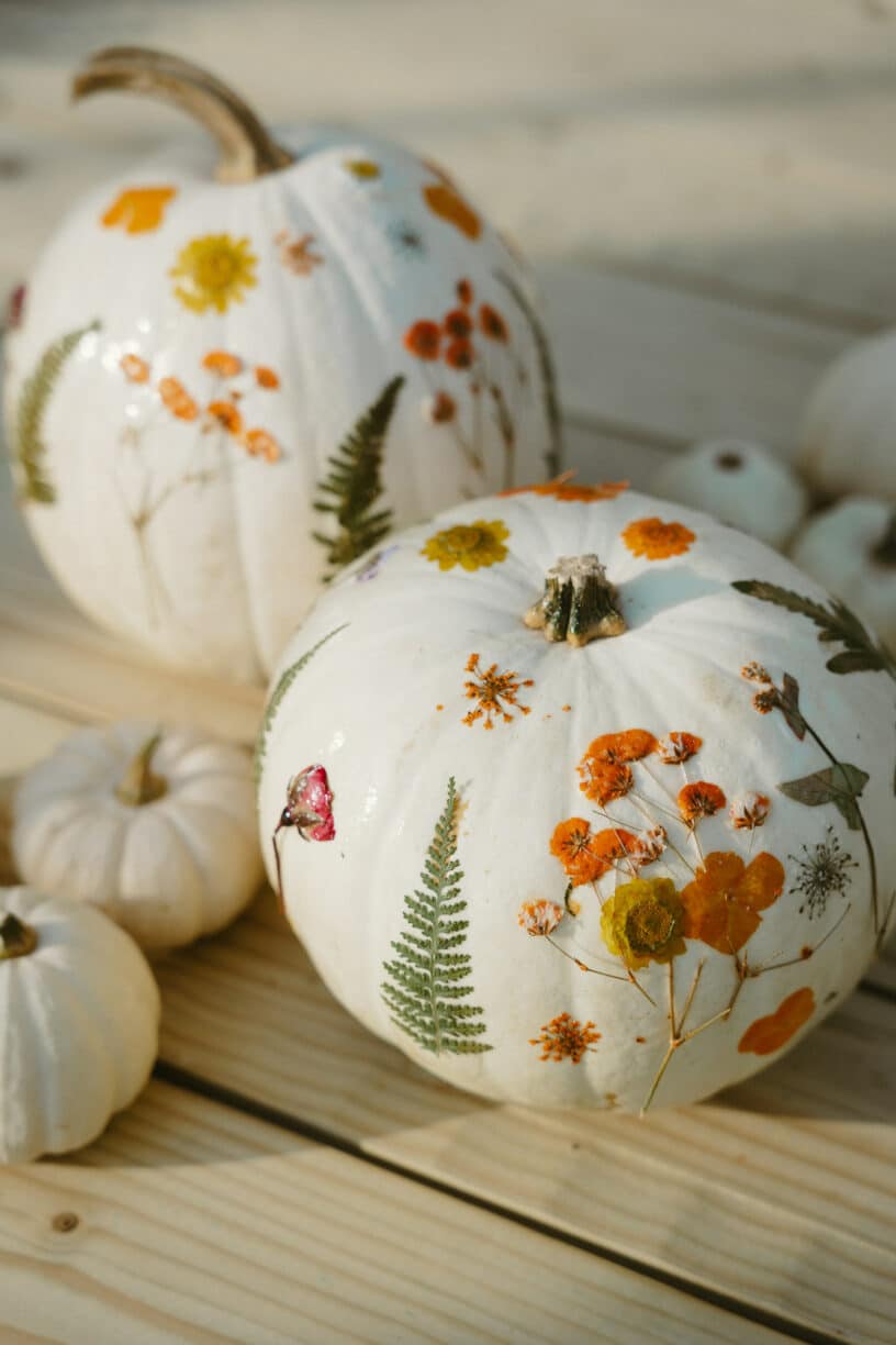Halloween Pumpkin Workshop with Periwinkle Barn, Raby Castle, Park & Gardens