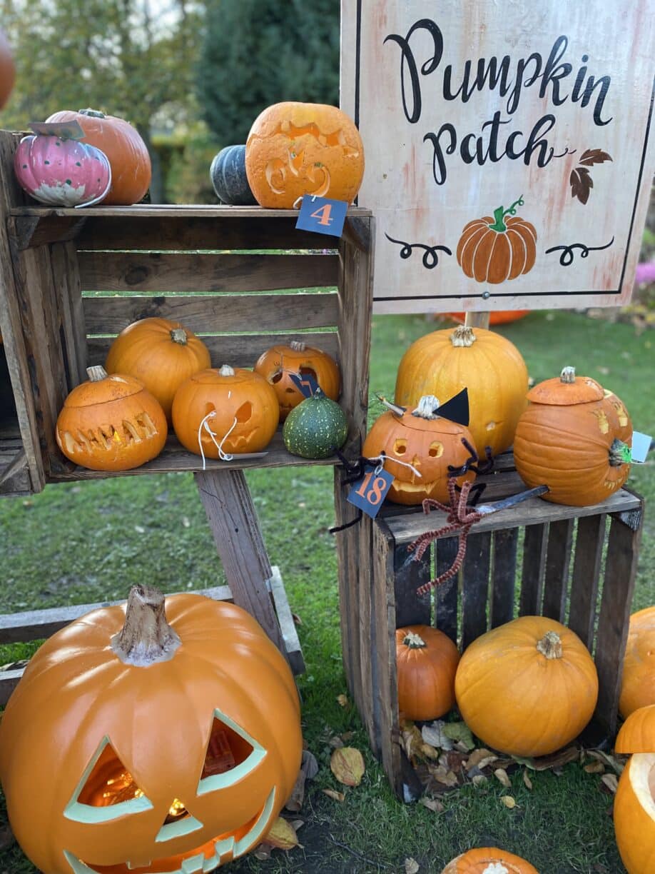 Pumpkin Competition, win a family play pass for The Plotters' Forest Raby Castle