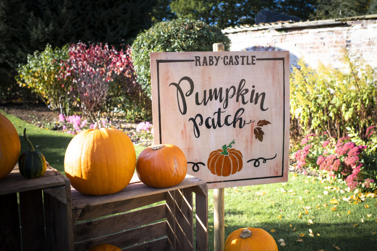 Pumpkin Competition, win a family play pass for The Plotters' Forest Raby Castle