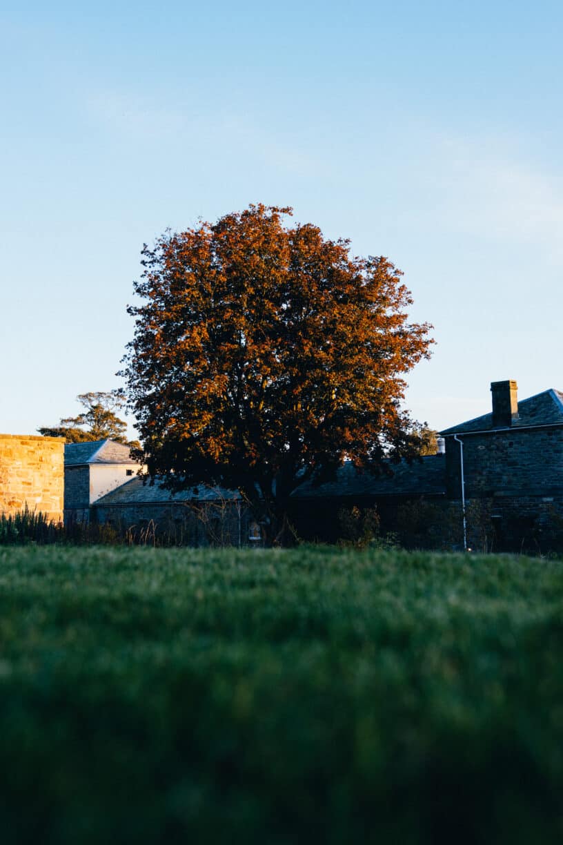 Qutumn Raby Gardening Through The Seasons with Becky Crowley - Autumn - Raby Estates