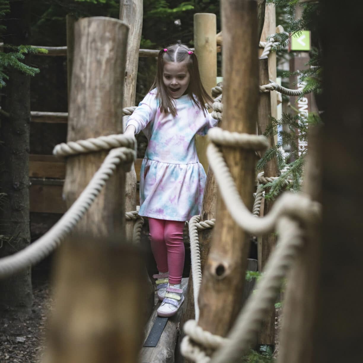 Low cost childrens activity at The Plotters' Forest Raby Castle