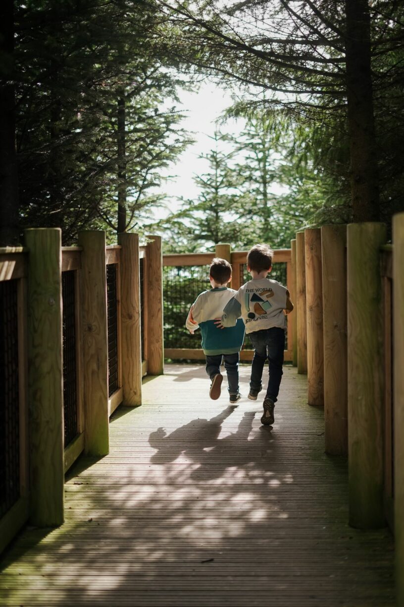 Farmyard Fun Trail at The Plotters Forest at Raby Castle Image by Wonderfully Wild Wilson