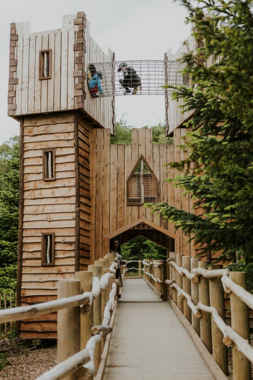 Raby Castle The Plotters Forest Image by Mrs Berry Photography