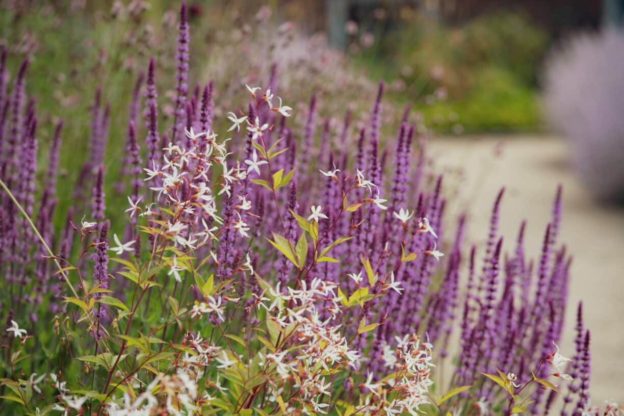 Discover Raby A Gardening Gathering