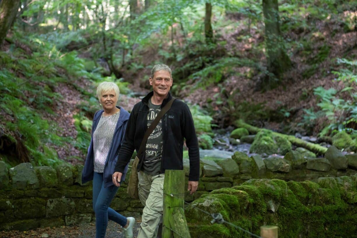 Free Guided Walk at High Force Waterfall