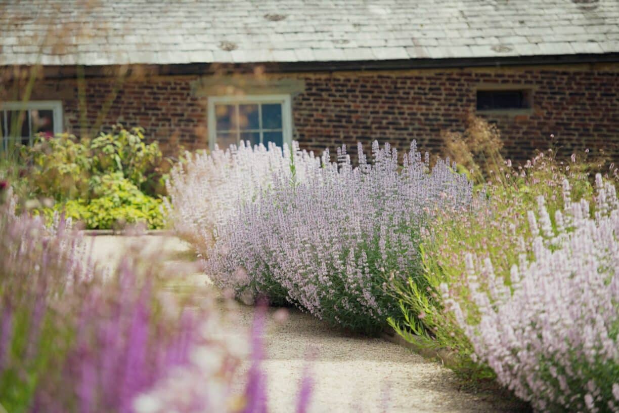 Raby Castle Park and Gardens