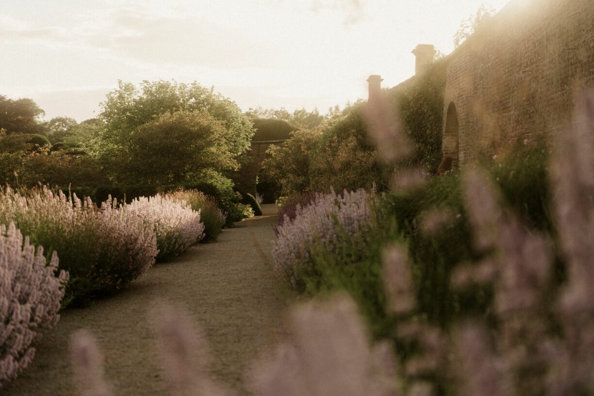 Summer Late Raby Castle Park and Gardens