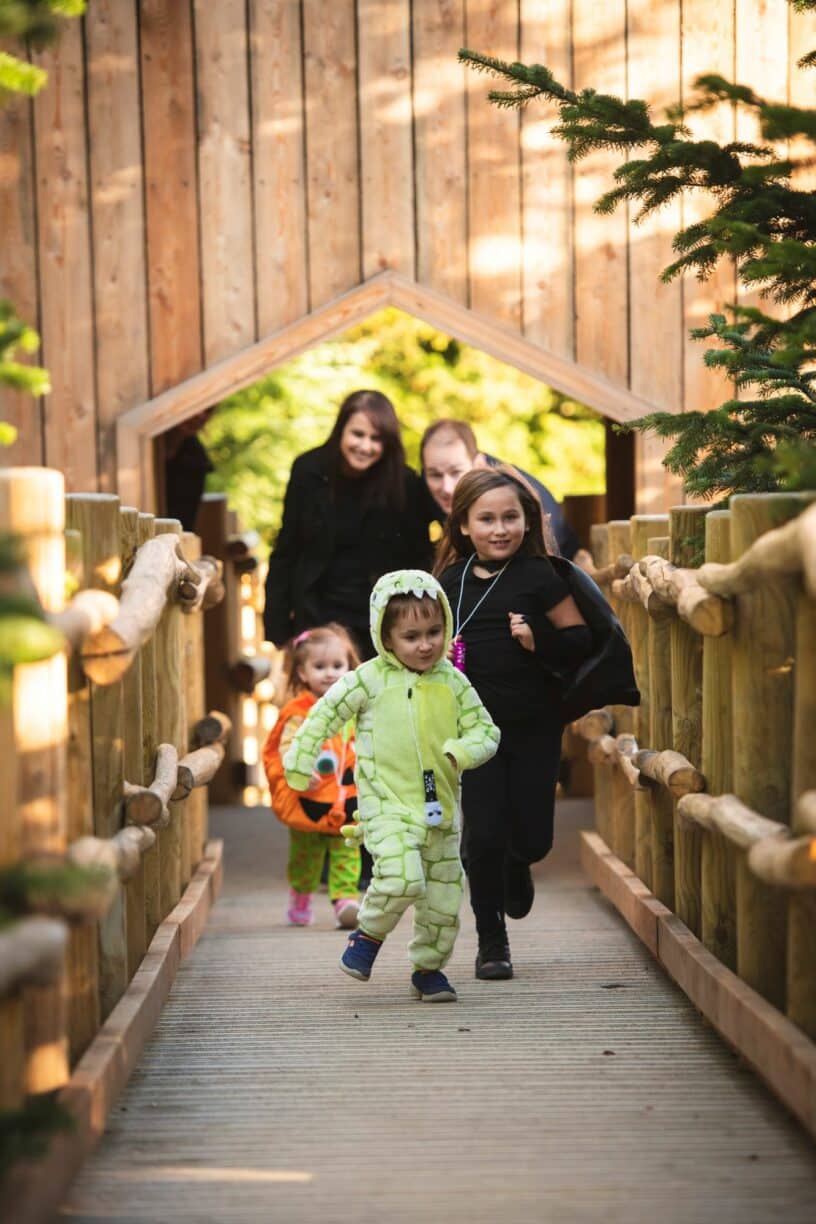 Halloween Trail in The Plotters' Forest Raby Castle Park & Gardens Halloween Events in County Durham