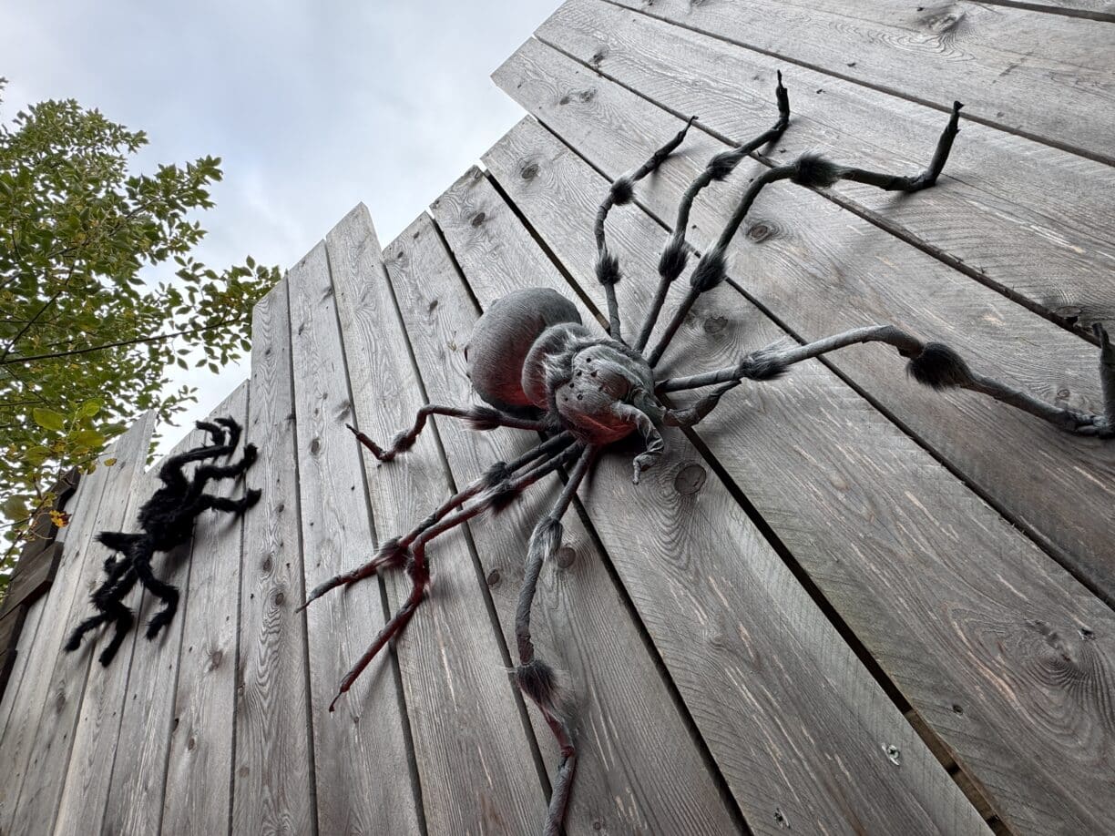 Tiny Terrors Trail in The Plotters’ Forest