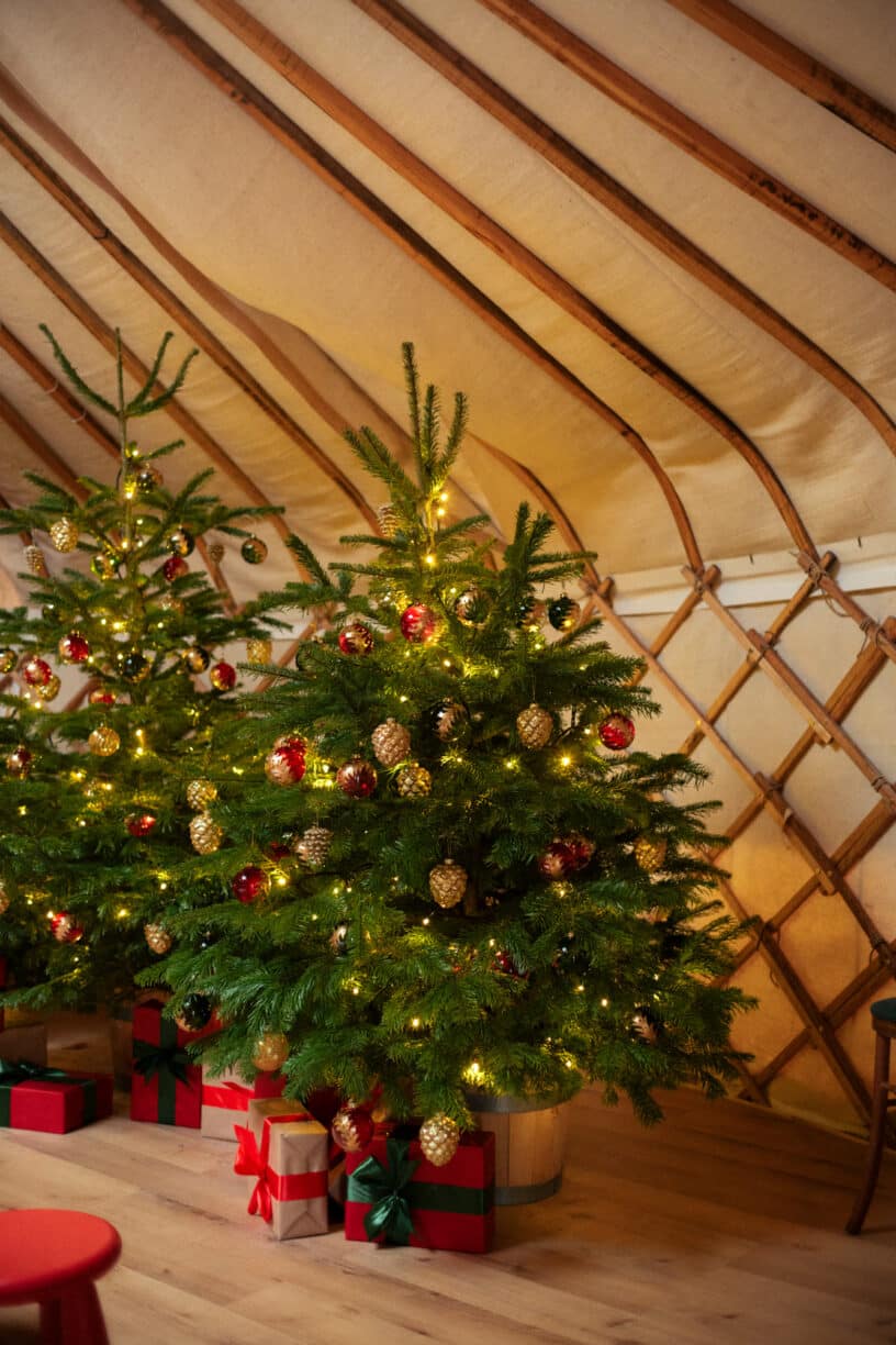 Festive meet-and-greet with Mr and Mrs Claus inside a decorated yurt at Raby Castle in County Durham.