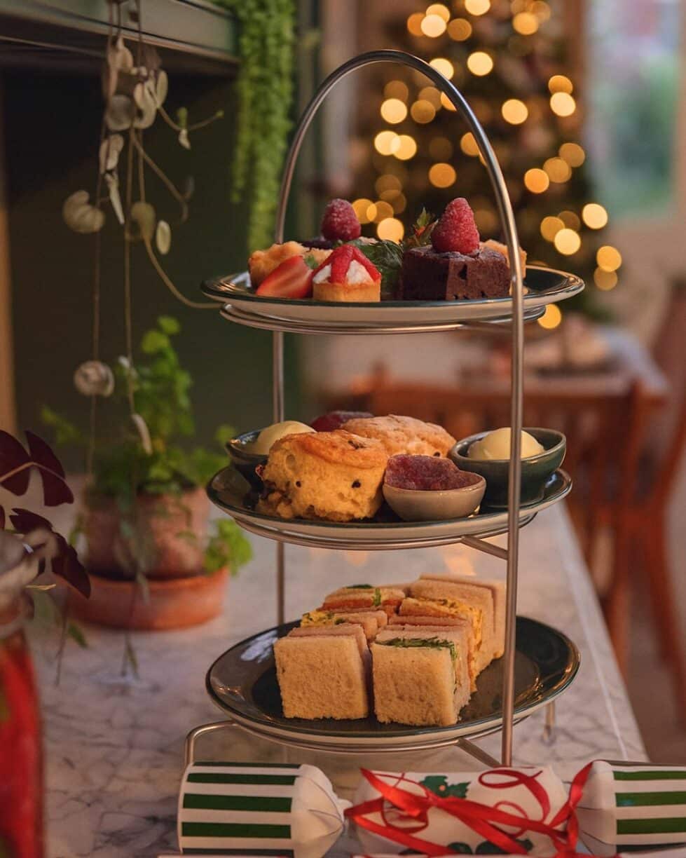 Festive Afternoon Tea in The Vinery at Raby Castle, Park and Gardens, County Durham