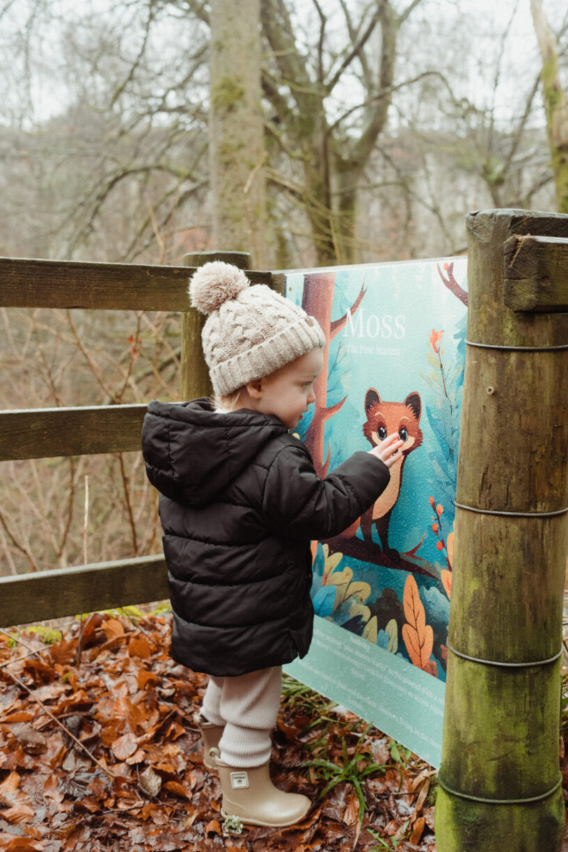 RABY CASTLE THIS HALF TERM