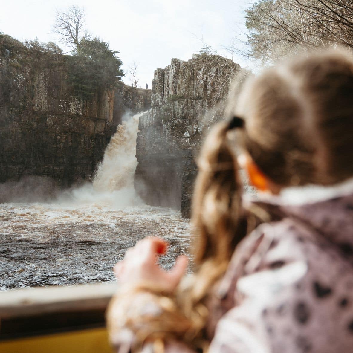 Hop into Spring at High Force: The Bunny Ears Woodland Trail