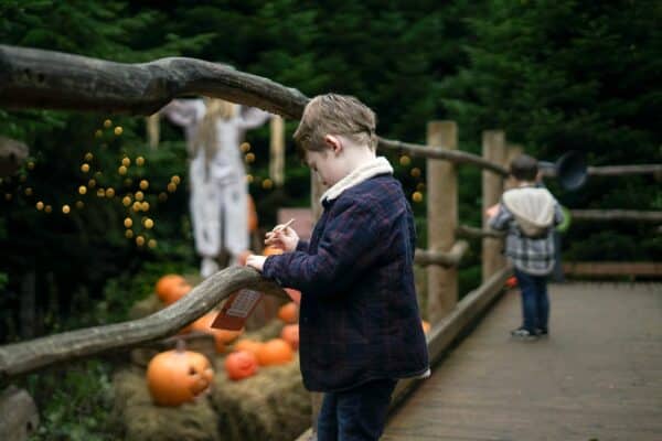 Halloween at Raby Castle, Park and Gardens