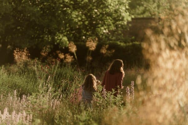 bumble bee safari at raby castle park and gardens walled gardens may half term