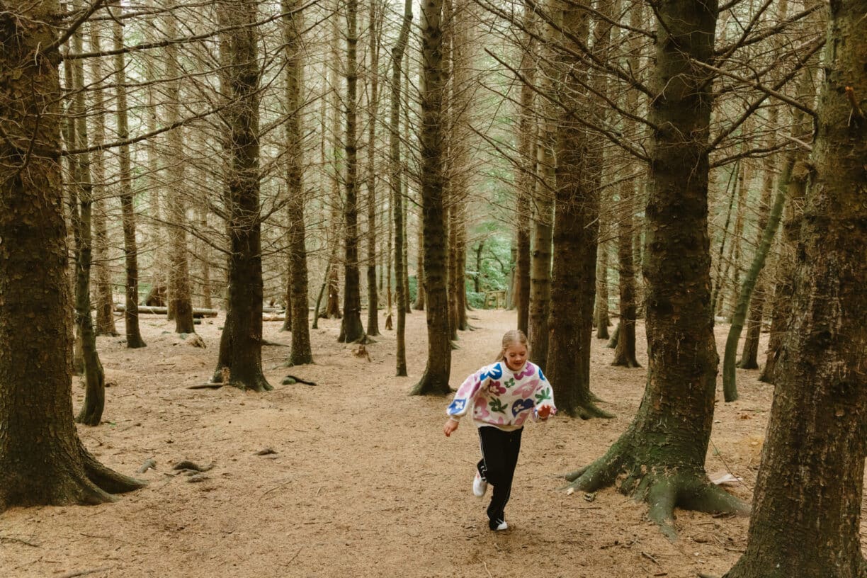 A family follows the Little Bumble Bees’ Trail at High Force, with children excitedly spotting bee signs along a leafy woodland path.