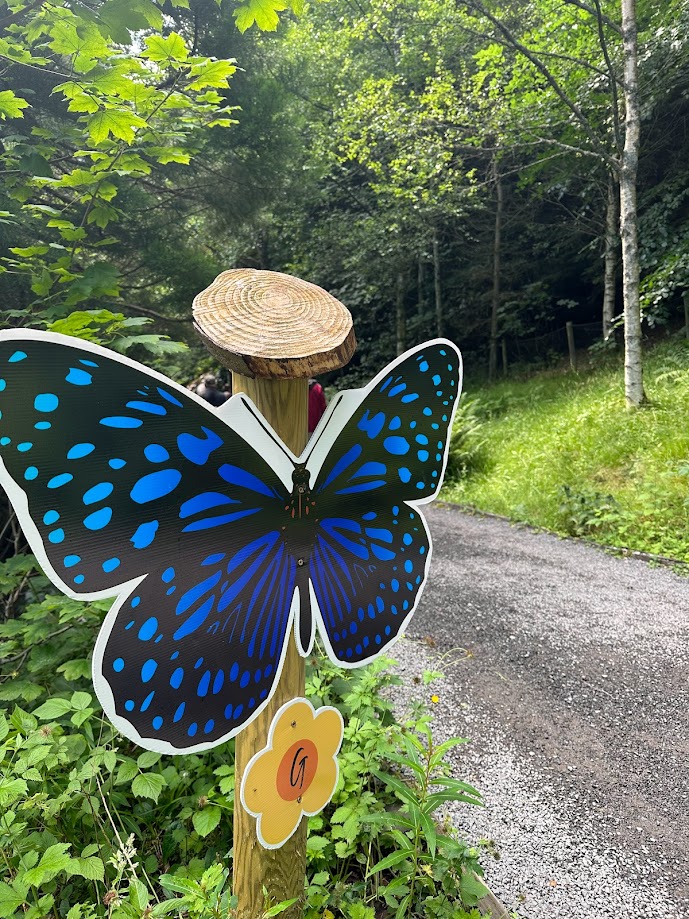 The Butterfly Quest at High Force Waterfall