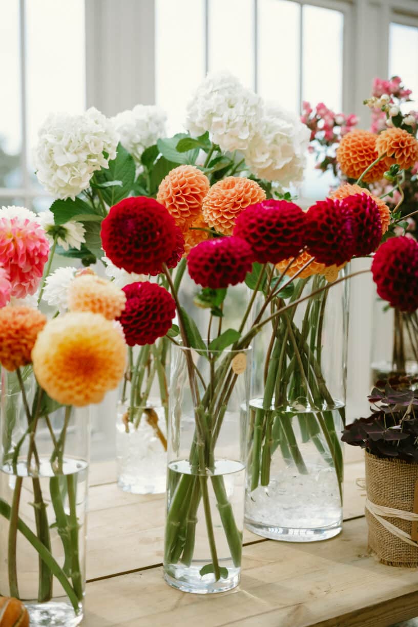 Periwinkle Barn Florist, Conservatory at Raby Castle, Park and Gardens, County Durham