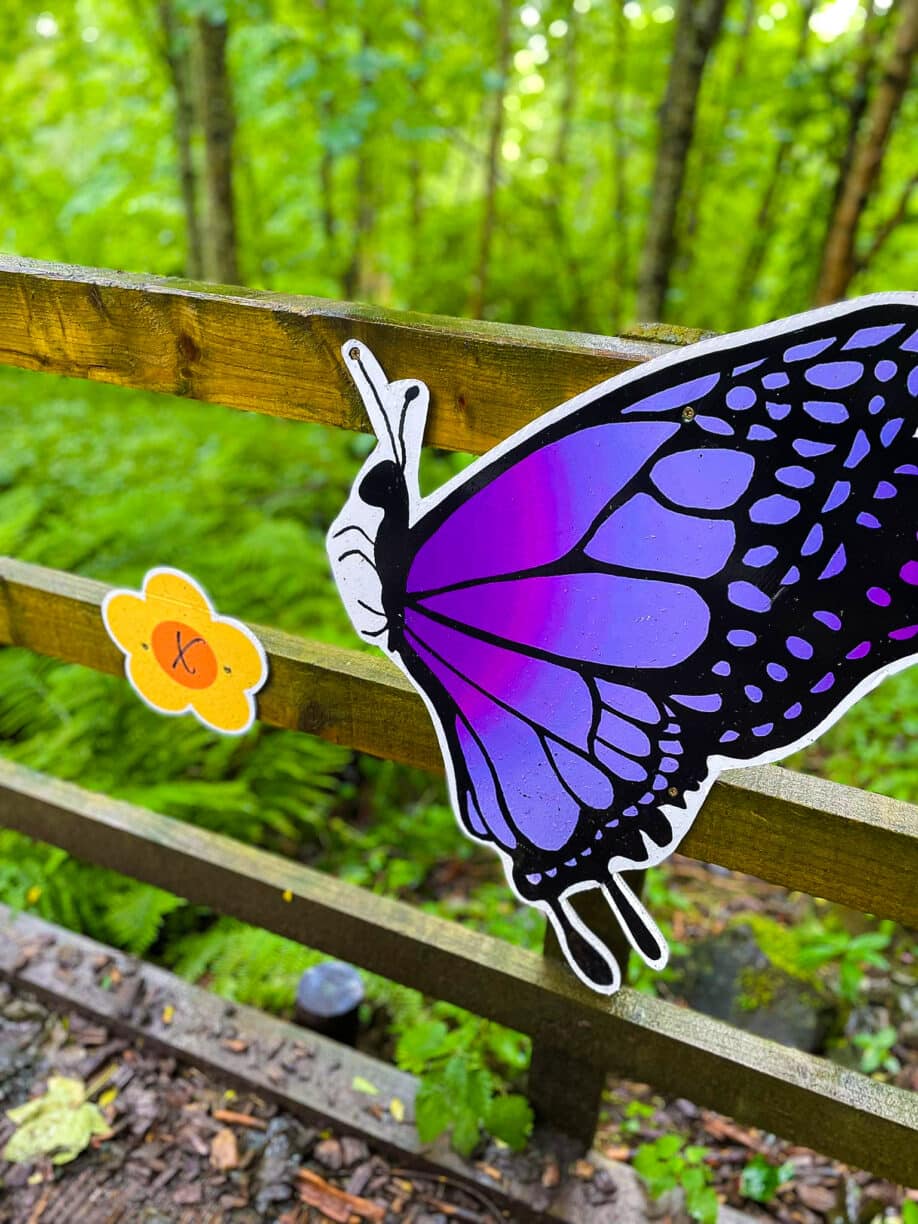 The Butterfly Quest at High Force Waterfall
