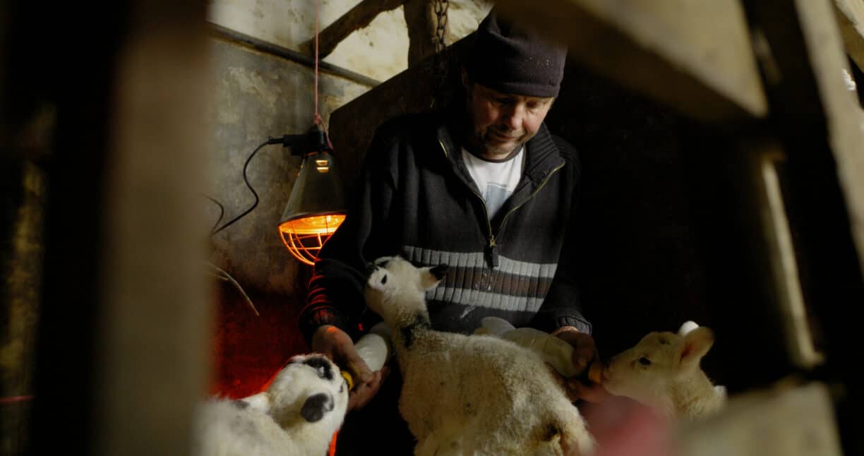 Raby Estates Tenants wins best Farming Documentary
