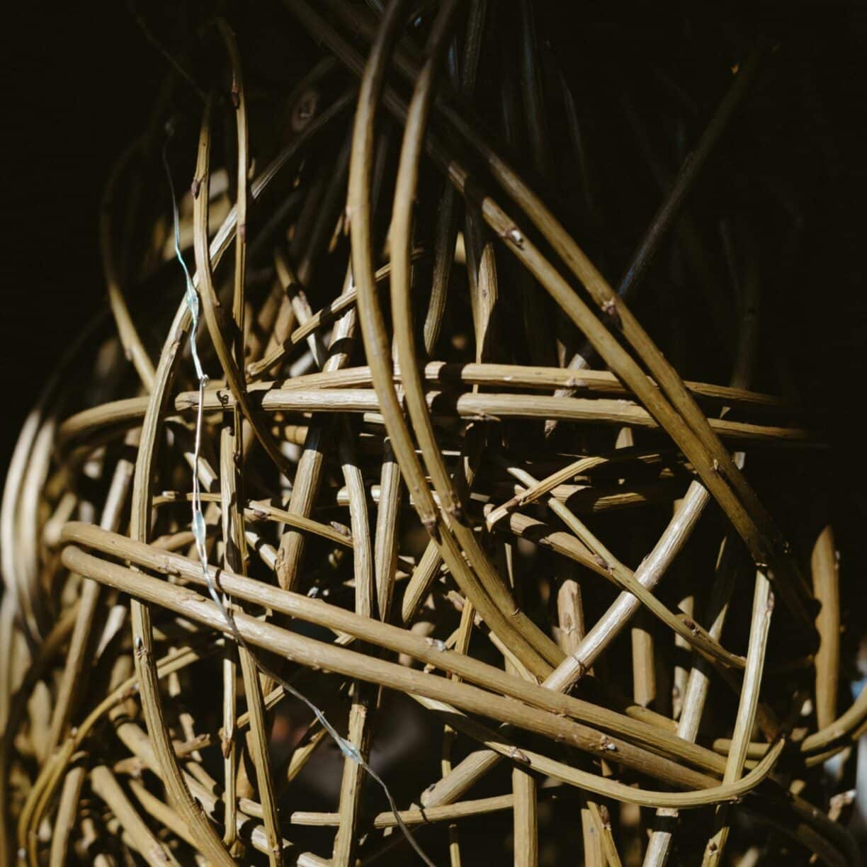 Group enjoying a festive willow weaving workshop at Raby Castle in the North East.