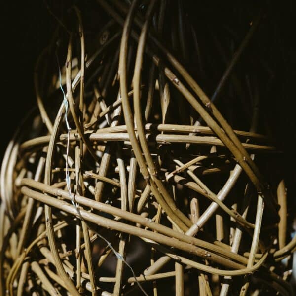 Group enjoying a festive willow weaving workshop at Raby Castle in the North East.