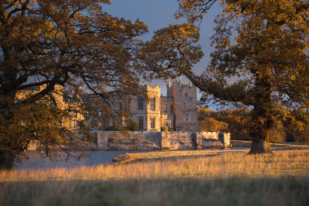 A golden sunrise over Raby’s Deer Park, with a silhouette of deer grazing in the morning mist beneath autumn trees.