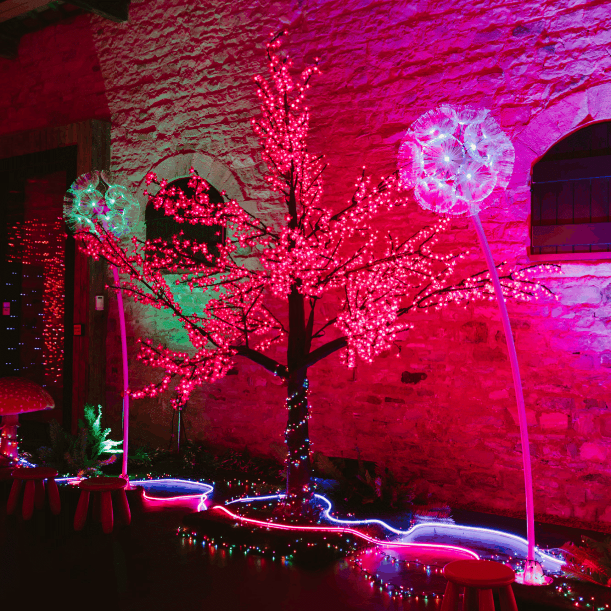 Giant glowing mushrooms and LED displays in the Adventures in Wonderland immersive experience at Raby Castle – perfect for a family day out.
