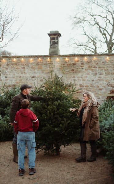 christmas market at raby castle, park and gardens county durham festive markets north east englan
