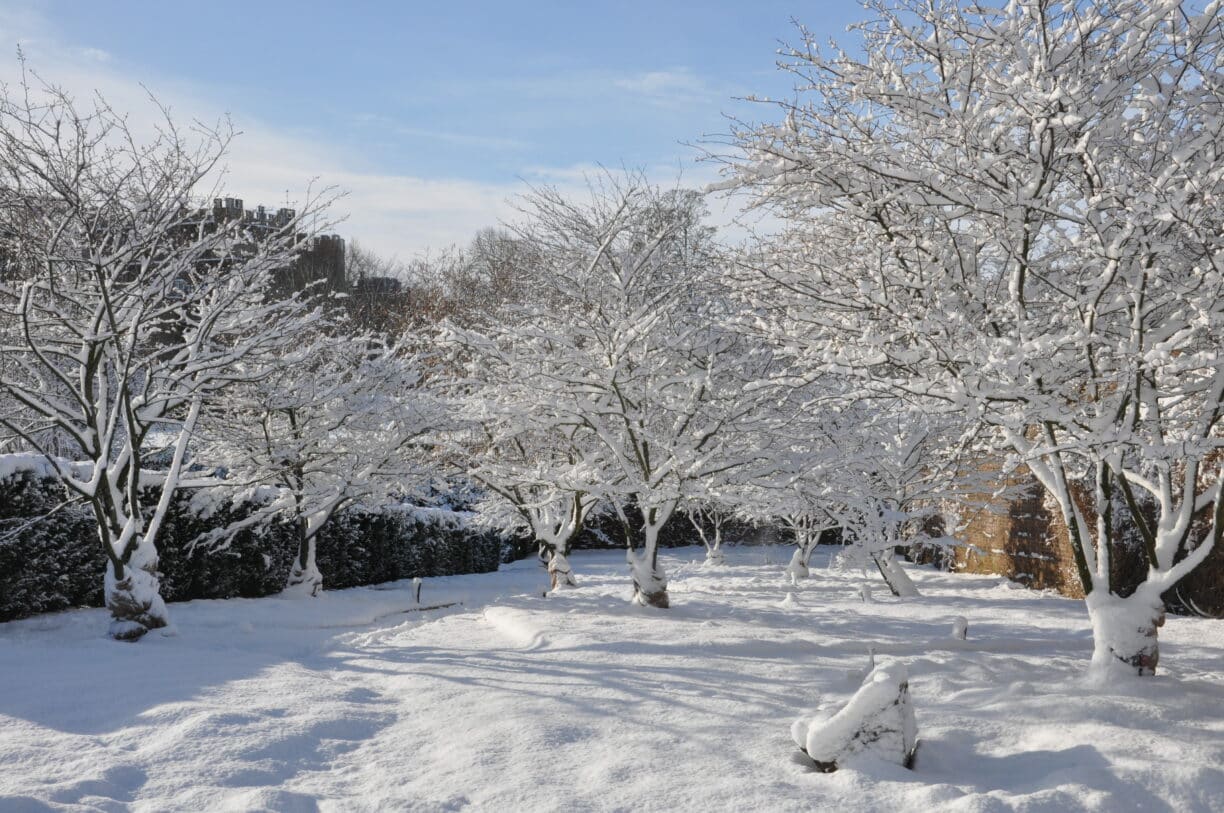 Walled Gardens In Snow