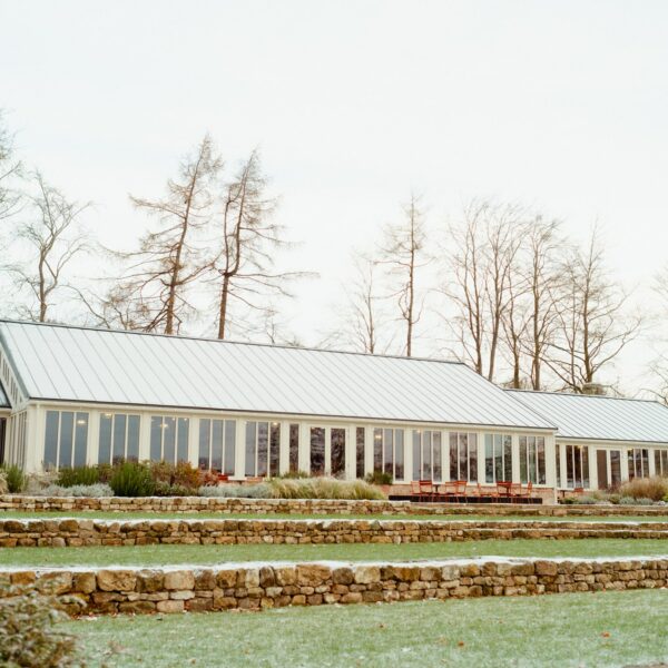 The Vinery at Christmas