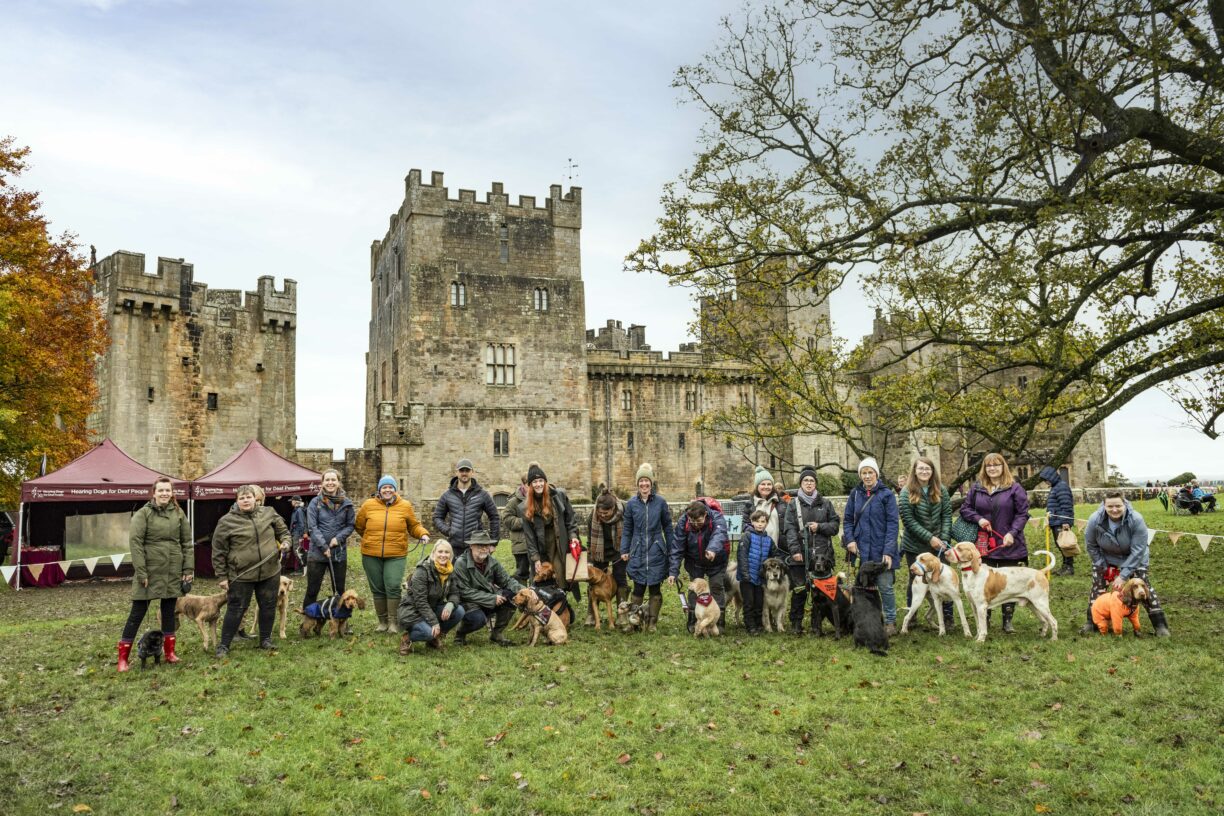 Dog owners walking their dogs through the parkland at Raby Castle during a Sunday Dog Walk in September.
