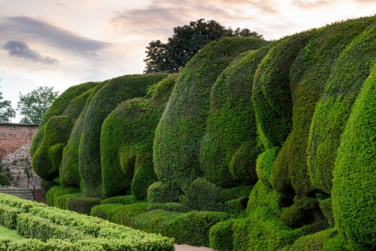 A wide view of Raby Castle’s Walled Gardens showing formal paths, flowering borders, trimmed hedges, and elegant landscaping in summer light.