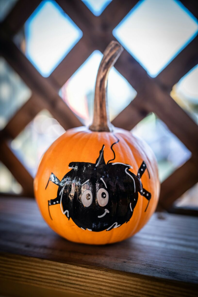 Childrens pumpkin painting workshop raby castle