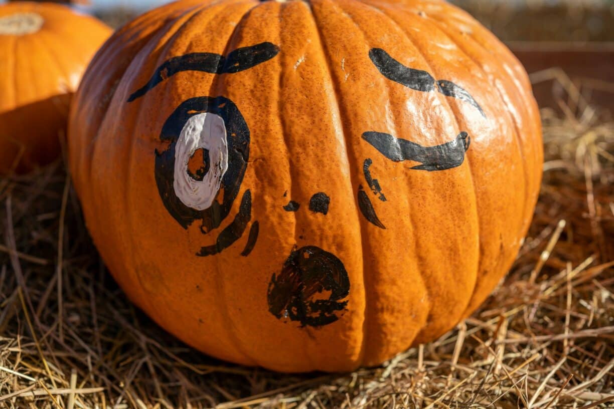 Pumpkin children workshop raby castle county durham