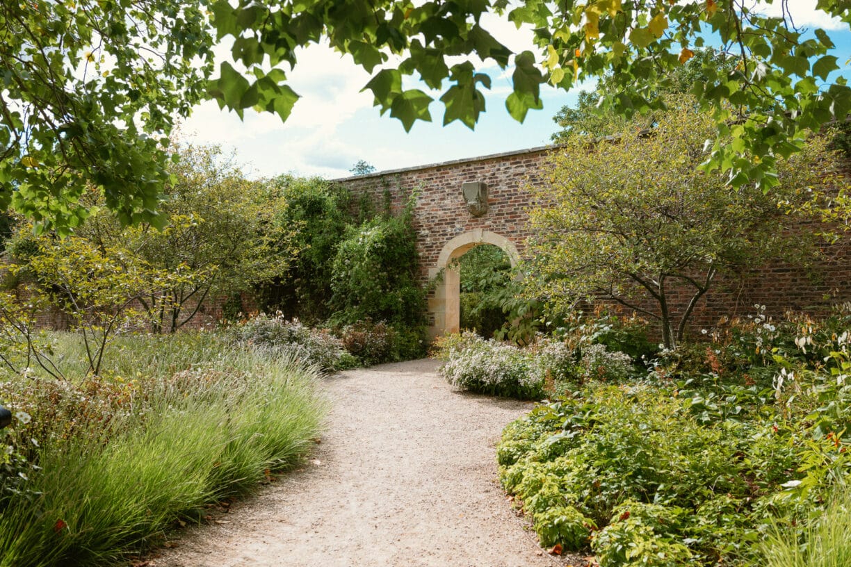 Sunset casting warm light over a garden landscape as a photographer takes a wide-angle shot