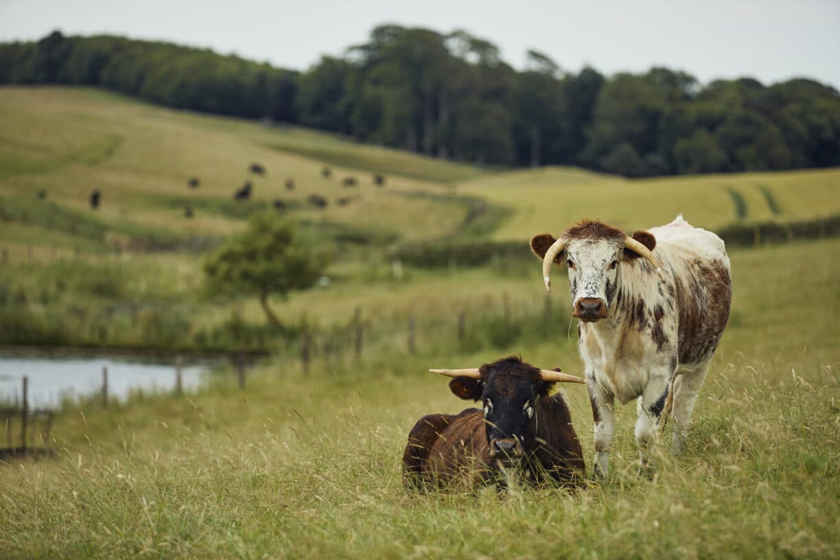 Raby Estates Farm County Durham