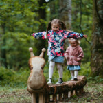 Caterpillar Balance Beam